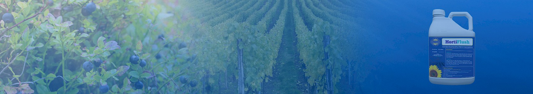 HortiFlush