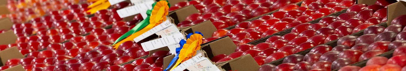 Boost Your Fruit Yield with Hortifeeds at National Fruit Show 2024