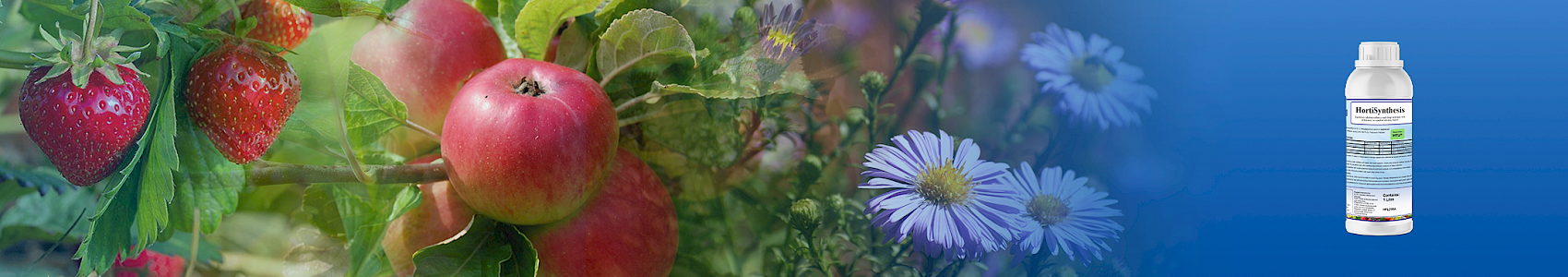 NEW! HortiSynthesis