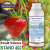 Fruit Focus 2026: Hortifeeds Welcomes You to Stand 402
